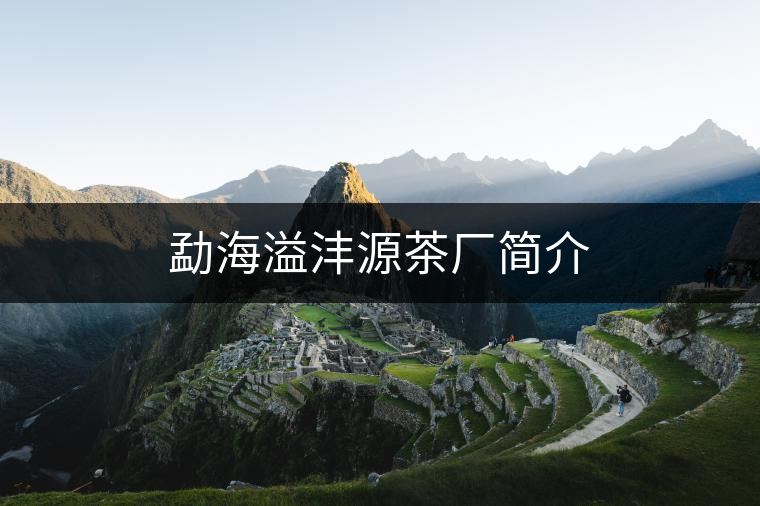 勐海溢灃源茶廠簡介
