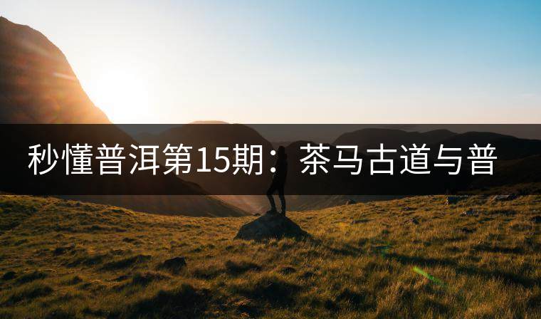 秒懂普洱第15期：茶馬古道與普洱茶有什么聯系？