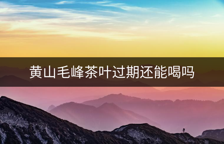 黃山毛峰茶葉過期還能喝嗎 黃山毛峰茶葉過期還能喝嗎