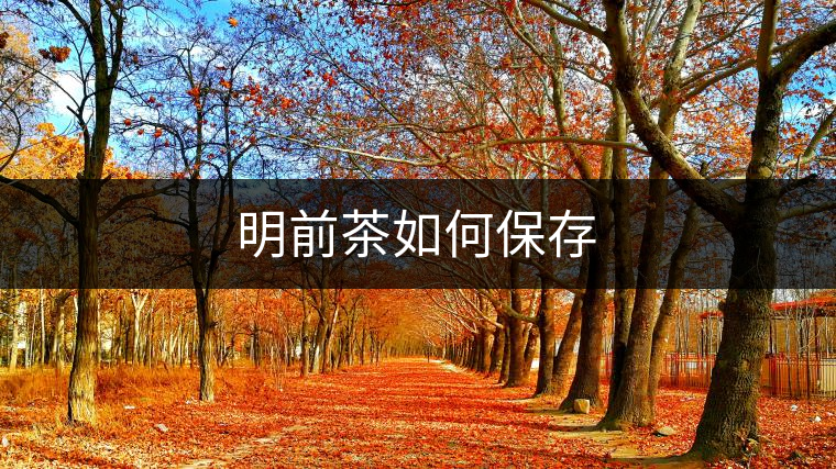 明前茶如何保存 明前茶如何保存
