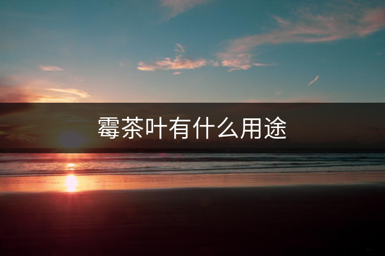 霉茶葉有什么用途