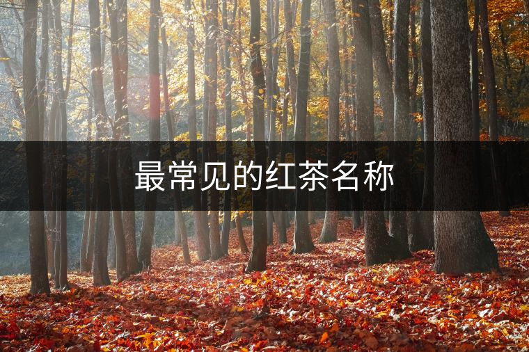 最常見的紅茶名稱 最常見的紅茶名稱