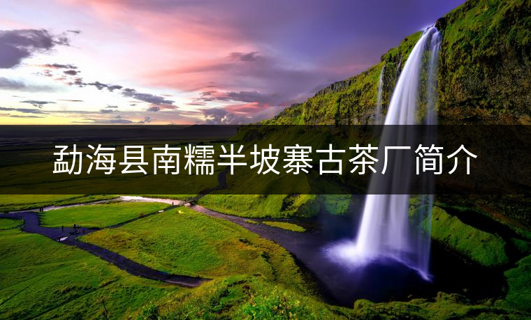 勐?？h南糯半坡寨古茶廠簡介