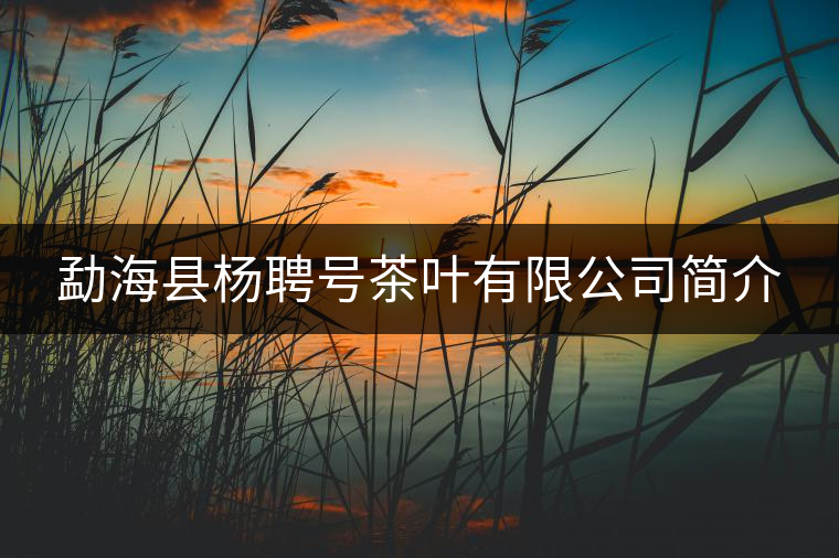 勐?？h楊聘號茶葉有限公司簡介