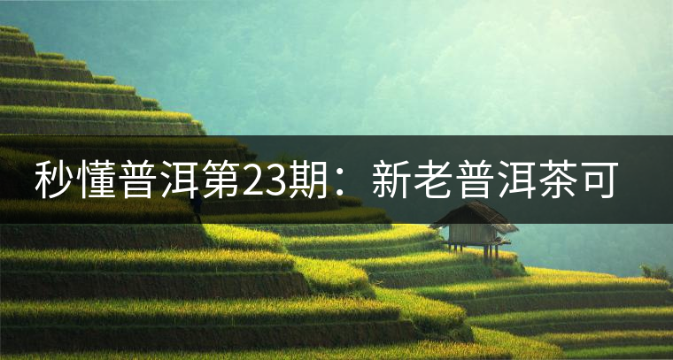 秒懂普洱第23期：新老普洱茶可以放到一起嗎？