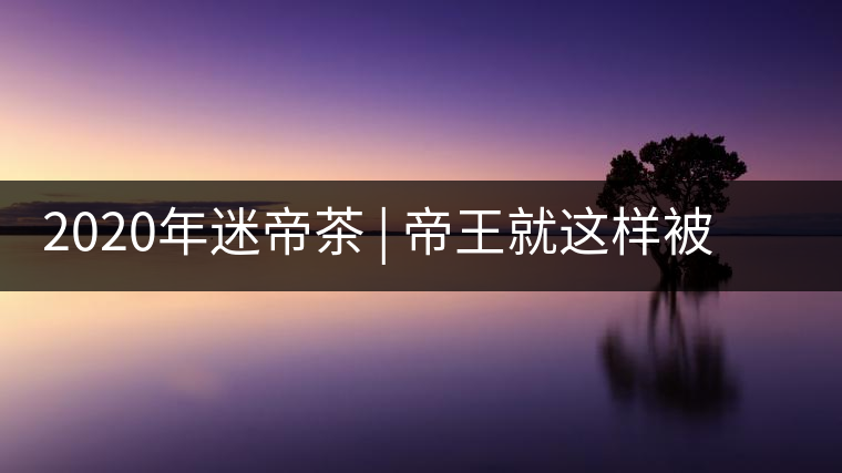 2020年迷帝茶 | 帝王就這樣被迷住了？-易武中聘號