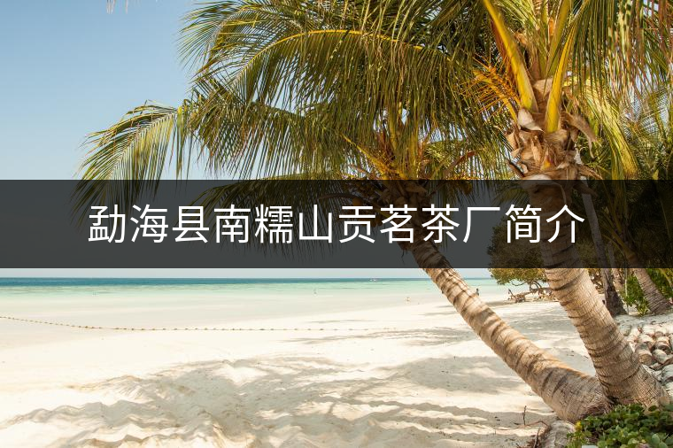 勐?？h南糯山貢茗茶廠簡介