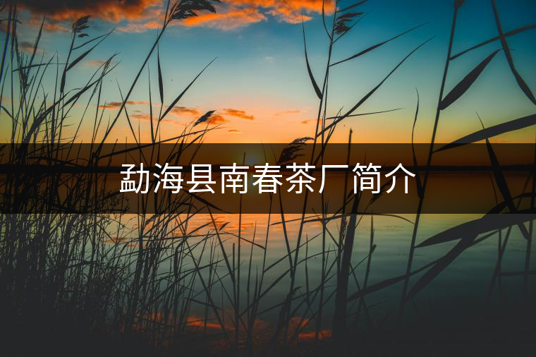 勐?？h南春茶廠簡(jiǎn)介
