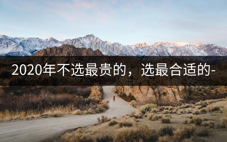 2020年不選最貴的，選最合適的-無量山古樹茶 |-易武中聘號