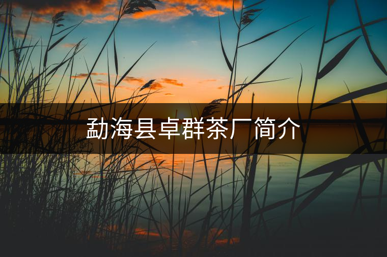 勐海縣卓群茶廠簡介 勐海縣卓群茶廠簡介