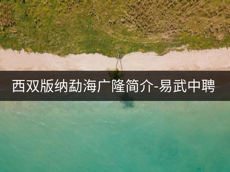 西雙版納勐海廣隆簡介-易武中聘號(hào) 西雙版納勐海廣隆簡介-易武中聘號(hào)