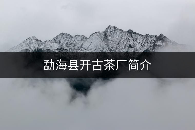 勐?？h開(kāi)古茶廠簡(jiǎn)介