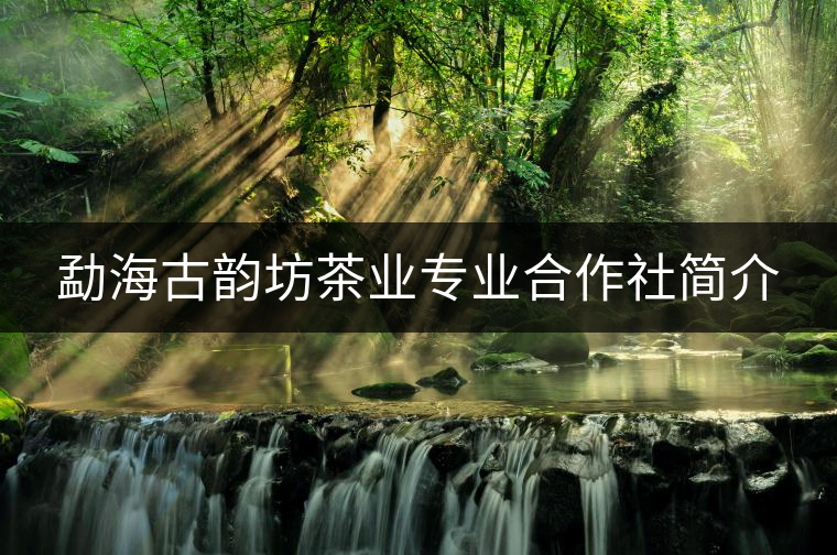 勐海古韻坊茶業(yè)專業(yè)合作社簡介 勐海古韻坊茶業(yè)專業(yè)合作社簡介
