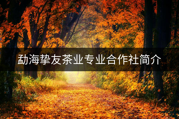 勐海摯友茶業(yè)專(zhuān)業(yè)合作社簡(jiǎn)介 勐海摯友茶業(yè)專(zhuān)業(yè)合作社簡(jiǎn)介