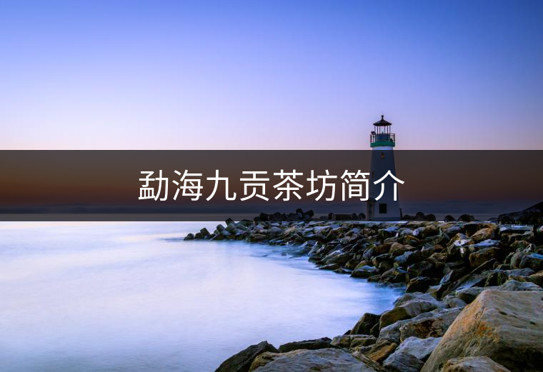 勐海九貢茶坊簡(jiǎn)介