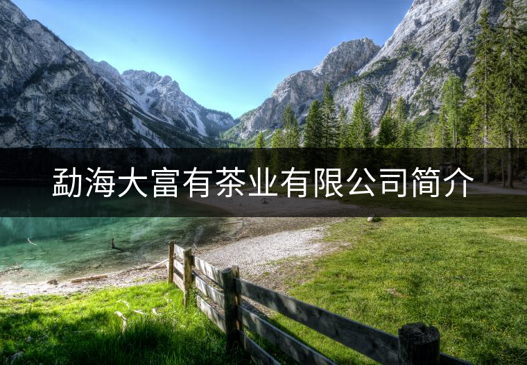 勐海大富有茶業(yè)有限公司簡介 勐海大富有茶業(yè)有限公司簡介