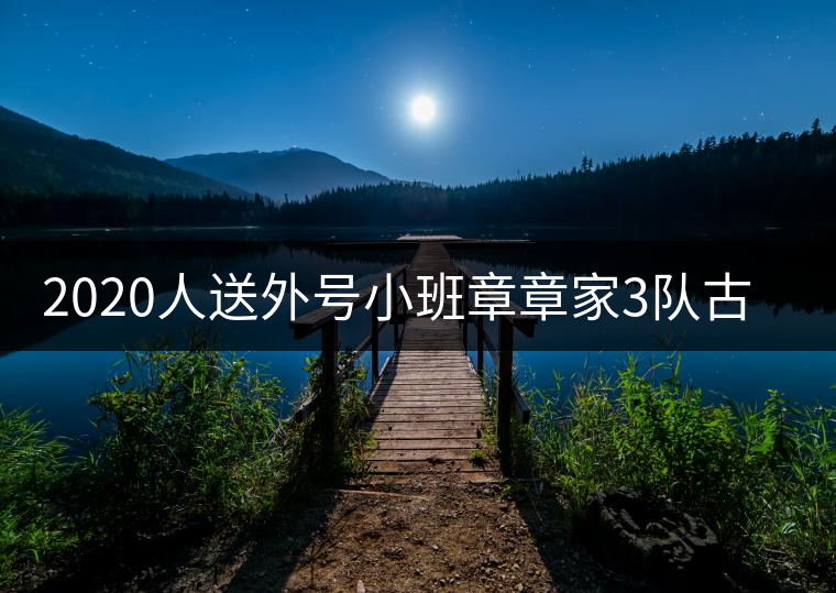 2020人送外號小班章章家3隊(duì)古樹茶-易武中聘號 2020人送外號小班章章家3隊(duì)古樹茶-易武中聘號