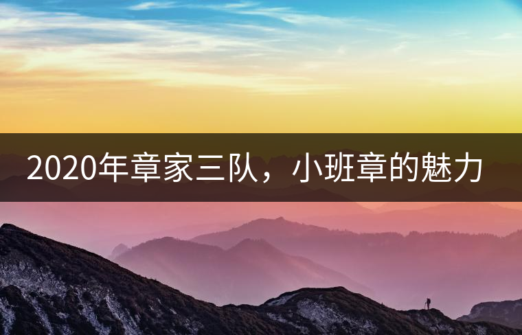 2020年章家三隊(duì),小班章的魅力-易武中聘號(hào) 2020年章家三隊(duì),小班章的魅力-易武中聘號(hào)