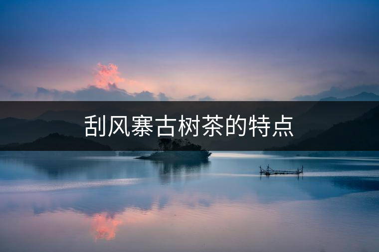 刮風(fēng)寨古樹(shù)茶的特點(diǎn) 刮風(fēng)寨古樹(shù)茶的特點(diǎn)