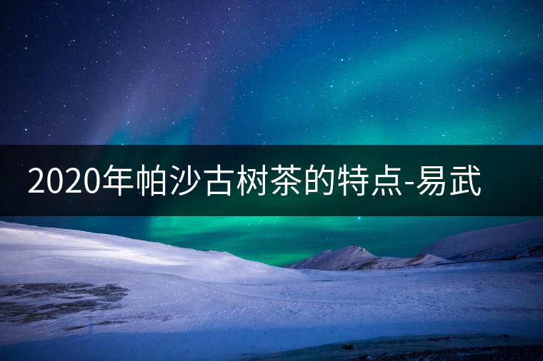 2020年帕沙古樹茶的特點(diǎn)-易武中聘號(hào) 2020年帕沙古樹茶的特點(diǎn)-易武中聘號(hào)