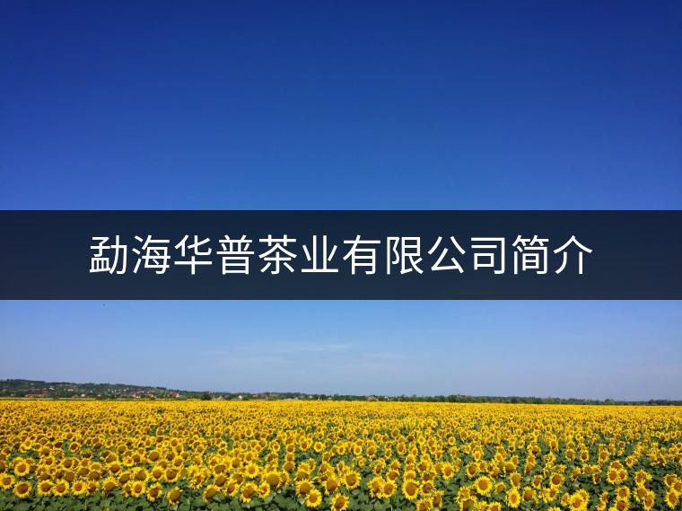 勐海華普茶業(yè)有限公司簡(jiǎn)介