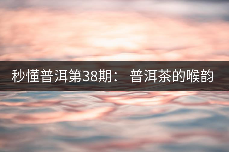 秒懂普洱第38期： 普洱茶的喉韻是什么？