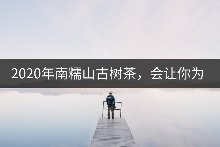 2020年南糯山古樹茶，會讓你為之著迷-易武中聘號