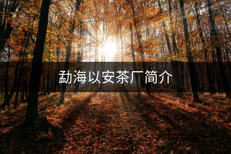 勐海以安茶廠簡介 勐海以安茶廠簡介