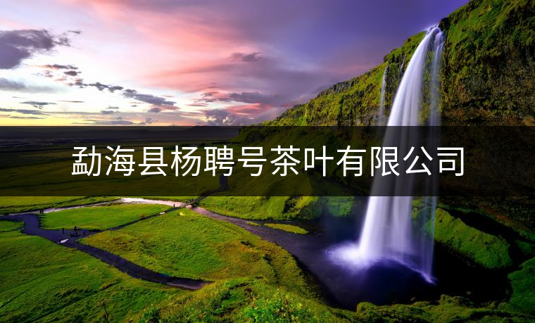 勐??h楊聘號(hào)茶葉有限公司 勐??h楊聘號(hào)茶葉有限公司