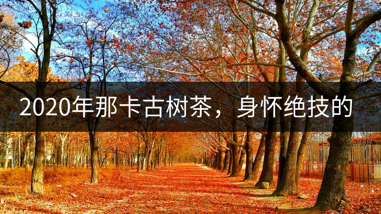 2020年那卡古樹茶，身懷絕技的“小班章” -易武中聘號