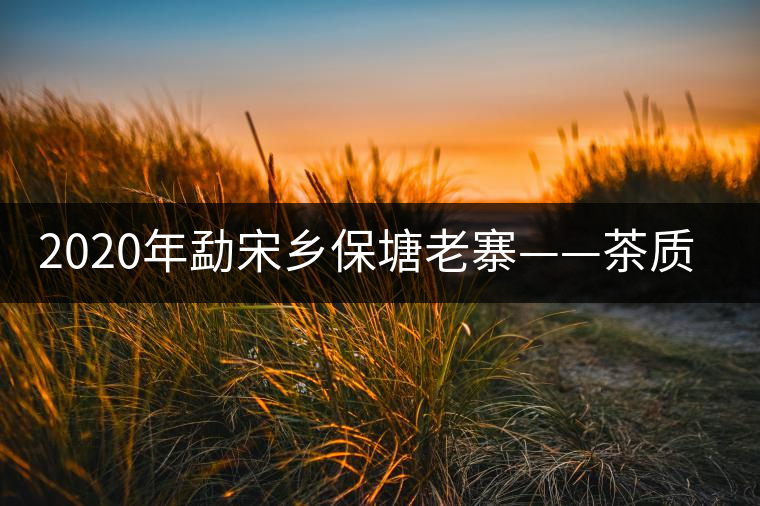 2020年勐宋鄉(xiāng)保塘老寨——茶質(zhì)厚重,一飲難忘-易武中聘號 2020年勐宋鄉(xiāng)保塘老寨——茶質(zhì)厚重,一飲難忘-易武中聘號