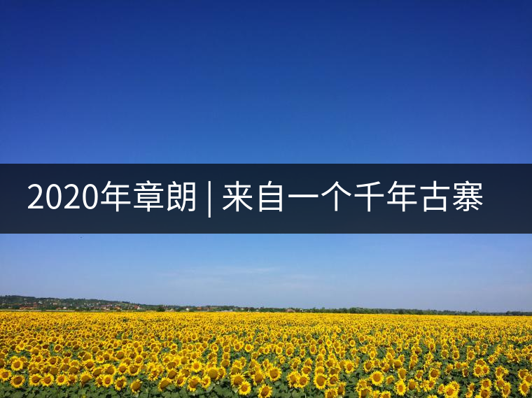 2020年章朗 | 來(lái)自一個(gè)千年古寨的古樹(shù)茶 -易武中聘號(hào) 2020年章朗 | 來(lái)自一個(gè)千年古寨的古樹(shù)茶 -易武中聘號(hào)