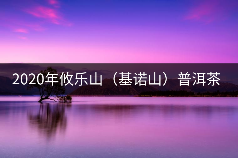 2020年攸樂山（基諾山）普洱茶的特點(diǎn) -易武中聘號