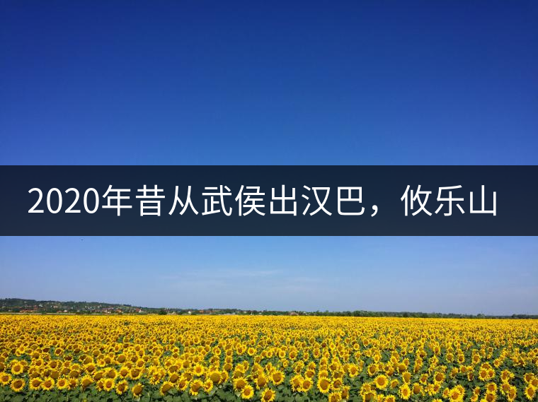 2020年昔從武侯出漢巴，攸樂(lè)山中只種茶。-易武中聘號(hào)