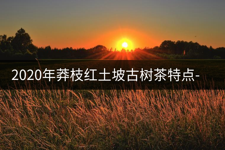 2020年莽枝紅土坡古樹茶特點(diǎn)-易武中聘號 2020年莽枝紅土坡古樹茶特點(diǎn)-易武中聘號