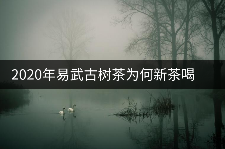 2020年易武古樹茶為何新茶喝時淡卻越放越濃？-易武中聘號