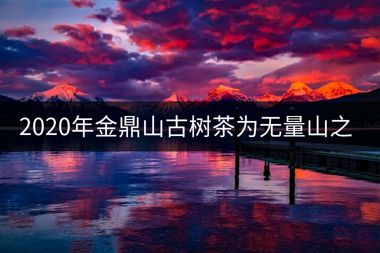 2020年金鼎山古樹茶為無量山之魂 -易武中聘號(hào) 2020年金鼎山古樹茶為無量山之魂 -易武中聘號(hào)