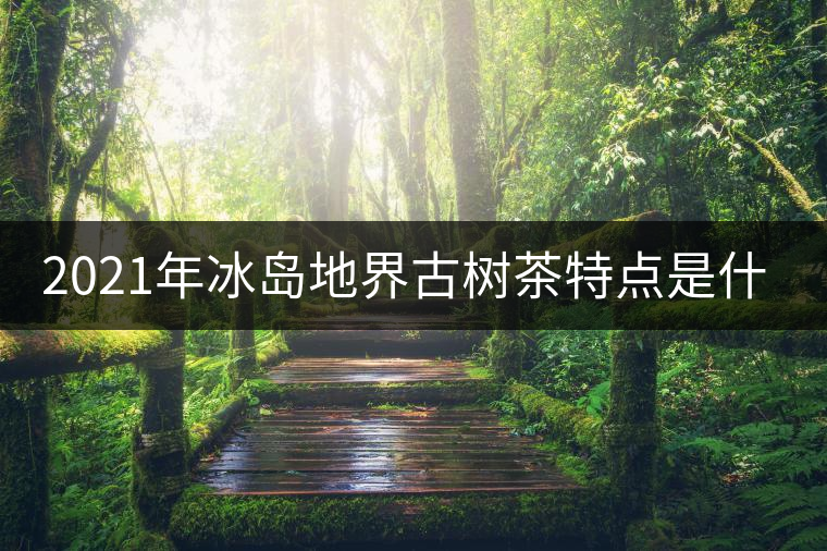 2021年冰島地界古樹茶特點(diǎn)是什么？