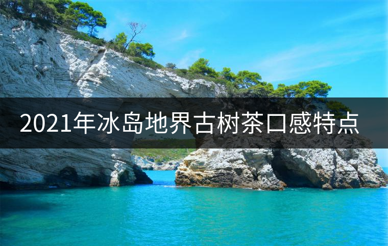 2021年冰島地界古樹茶口感特點(diǎn)是什么？