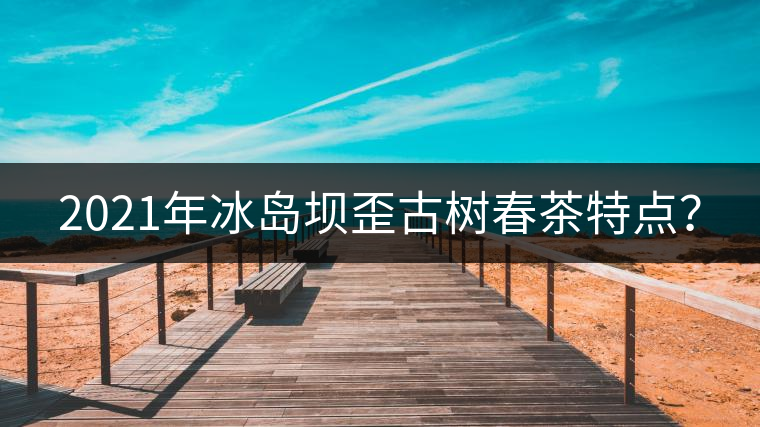 2021年冰島壩歪古樹春茶特點(diǎn)？