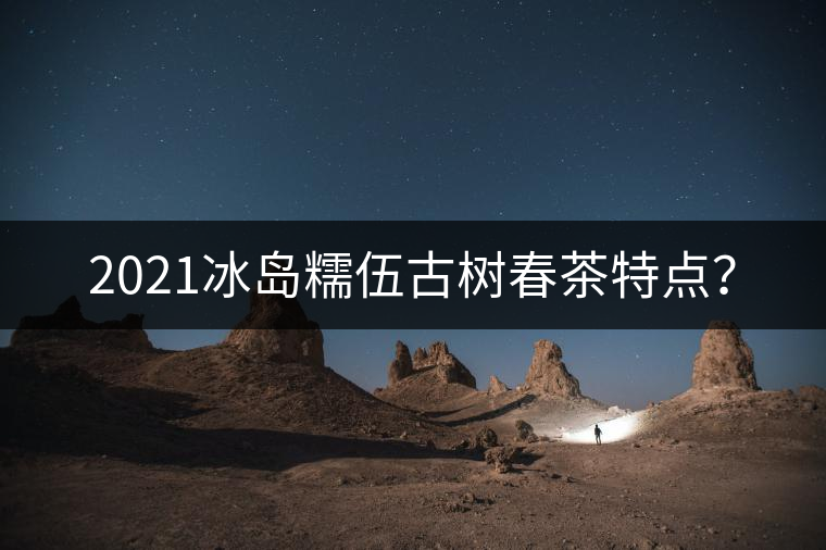 2021冰島糯伍古樹春茶特點(diǎn)？