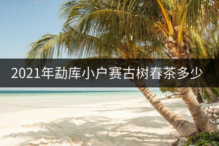 2021年勐庫小戶賽古樹春茶多少錢一公斤？