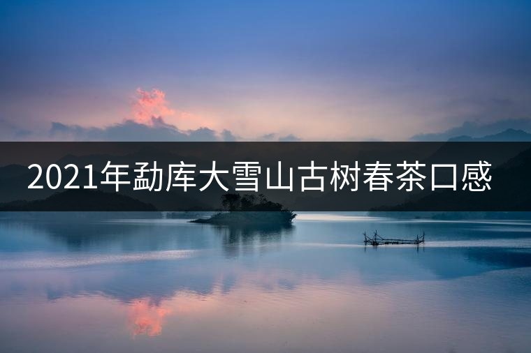 2021年勐庫大雪山古樹春茶口感特點(diǎn)？