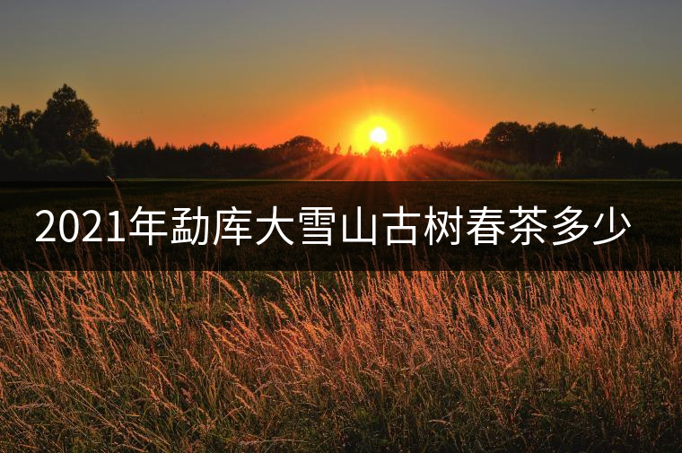 2021年勐庫(kù)大雪山古樹(shù)春茶多少錢(qián)一公斤? 2021年勐庫(kù)大雪山古樹(shù)春茶多少錢(qián)一公斤?