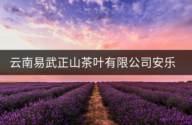 云南易武正山茶葉有限公司安樂(lè)茶莊同慶茶廠簡(jiǎn)介 云南易武正山茶葉有限公司安樂(lè)茶莊同慶茶廠簡(jiǎn)介