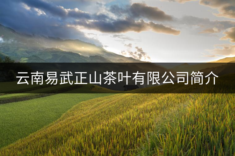 云南易武正山茶葉有限公司簡(jiǎn)介 云南易武正山茶葉有限公司簡(jiǎn)介