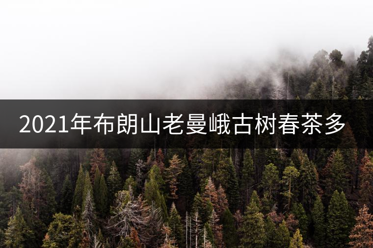 2021年布朗山老曼峨古樹(shù)春茶多少錢一公斤？