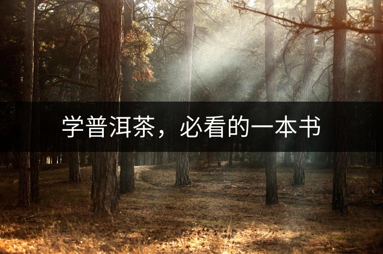 學(xué)普洱茶，必看的一本書