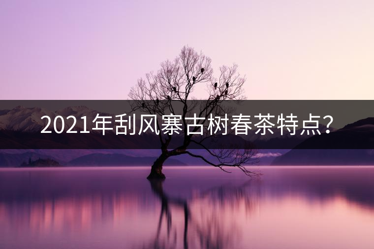 2021年刮風(fēng)寨古樹春茶特點(diǎn)？