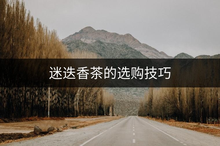 迷迭香茶的選購技巧 迷迭香茶的選購技巧